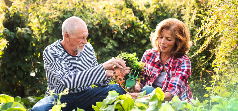 Centrelink and Age Pension