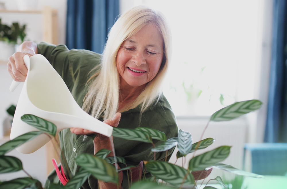 an elder woman is watering her plan