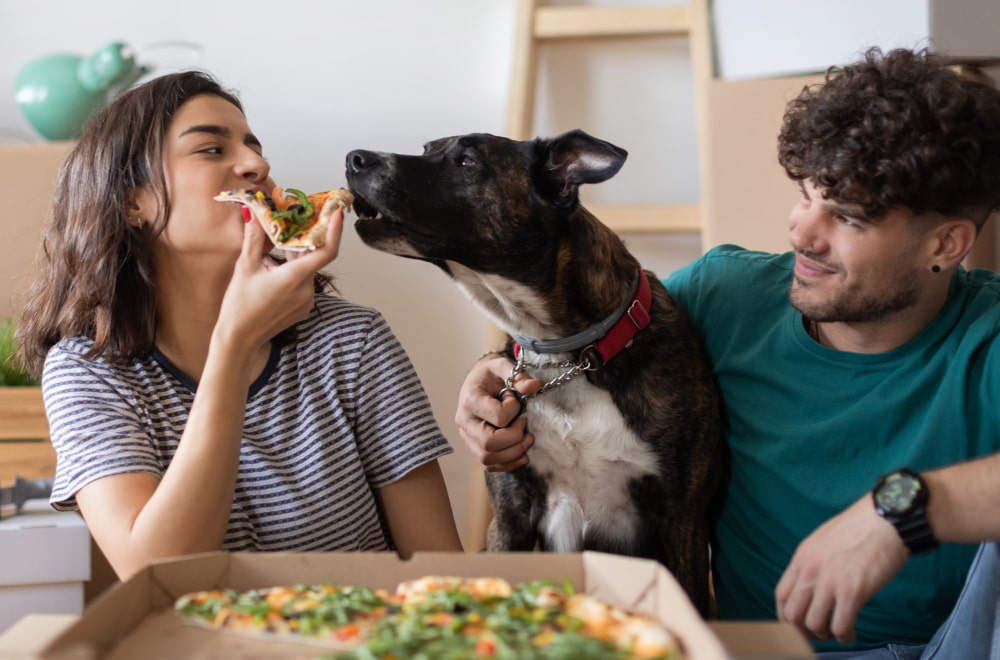 a couple is eating and enjoying their first home