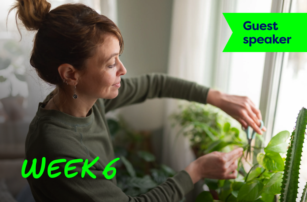 A lady is taking care of her green plant