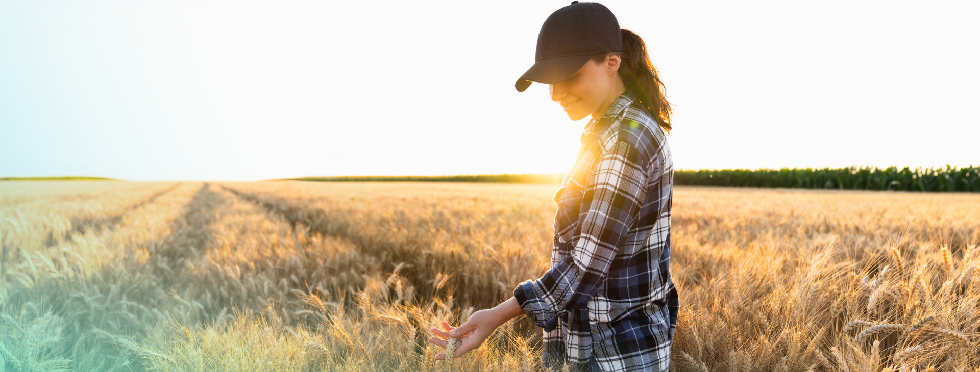 Women in wheat field looking down smiling