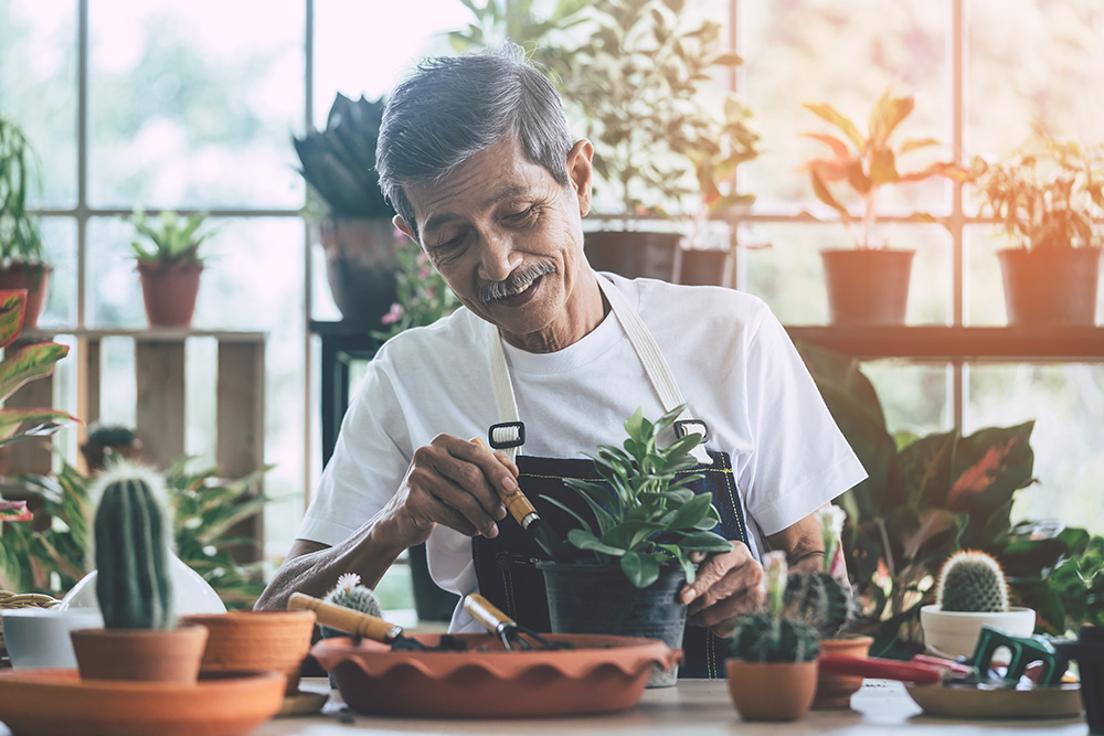 Person enjoying their retirement tending to indoor plants